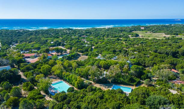 Vista aerea di una costa verde con piscine.